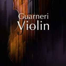 NI Guarneri Violin v1.0.0 Kontakt Library