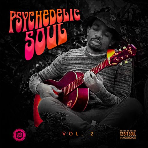 Divided Souls Psychedelic Soul Vol. 2 WAV