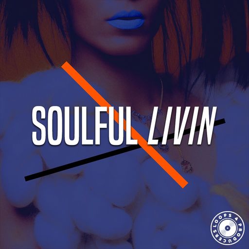 Loops 4 Producers Soulful Livin WAV