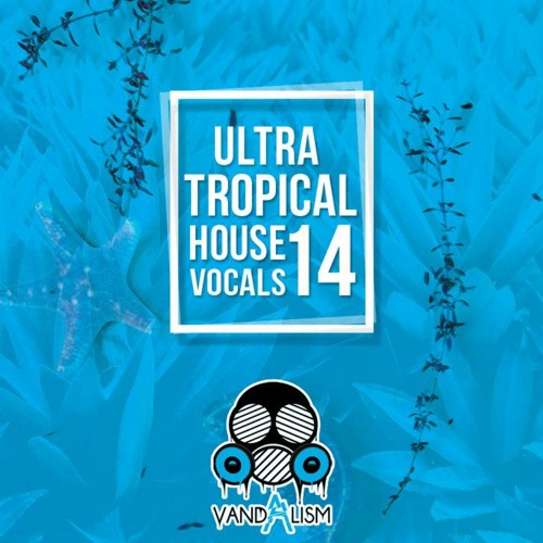 Ultra Tropical House Vocals 14 WAV MIDI
