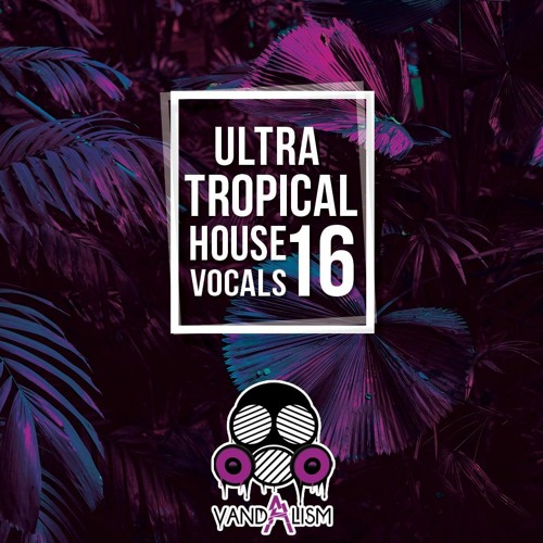 Vandalism Ultra Tropical House Vocals 16 WAV MIDI