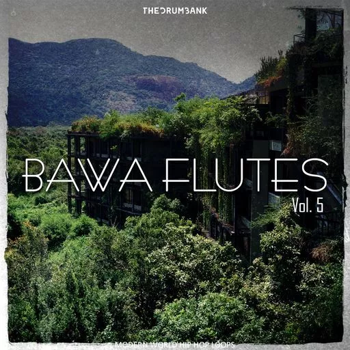 Dynasty Loops Bawa Flutes 5 WAV