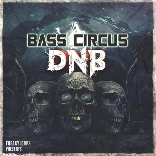 FL118 Bass Circus DnB WAV