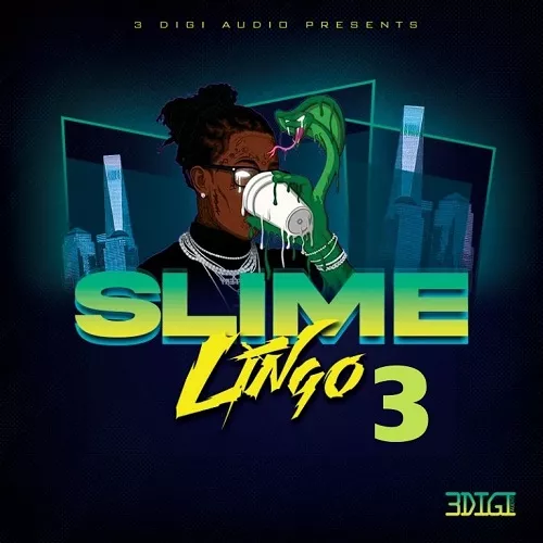 3Digi Audio Slime Lingo 3 WAV