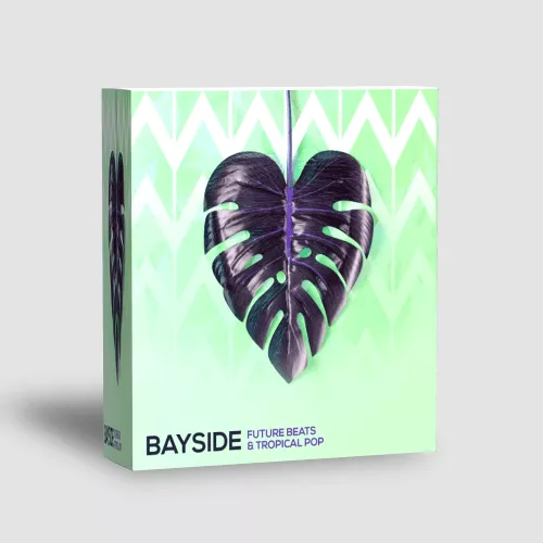 Bayside - Future Beats & Tropical Pop WAV