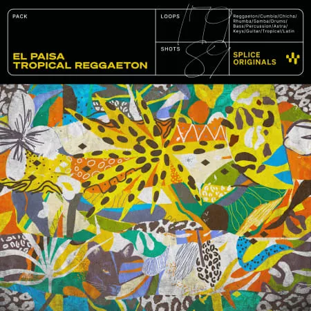 El Paisa - Tropical Reggaeton WAV ASTRA PRESETS