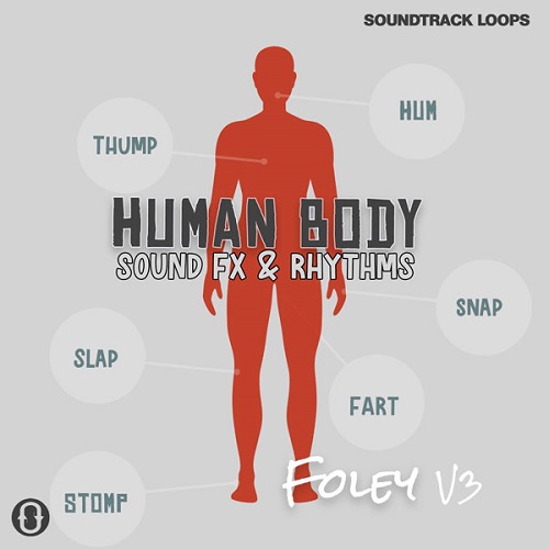 Soundtrack Loops Foley V3 - Human Body Sound Effects & Rhythms WAV