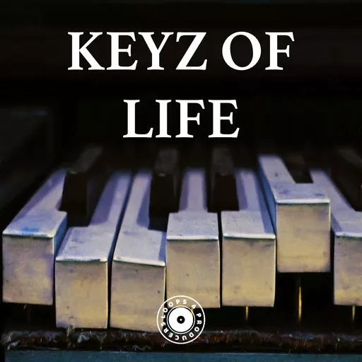 Loops 4 Producers Keyz Of Life WAV