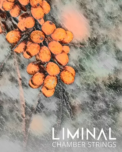 Crocus Soundware LIMINAL Chamber Strings KONTAKT