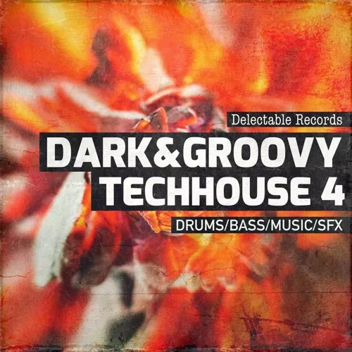Delectable Records Dark & Groovy TechHouse 04 WAV