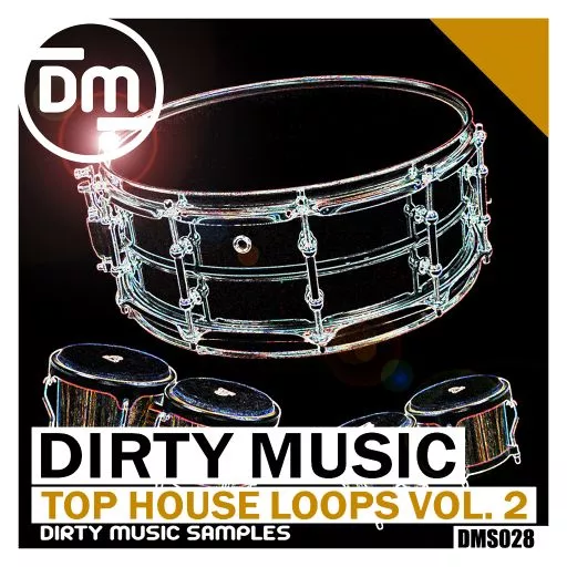 Dirty Music Top House Loops Vol_ 2 WAV