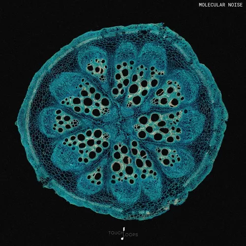 Touch Loops Molecular Noise WAV