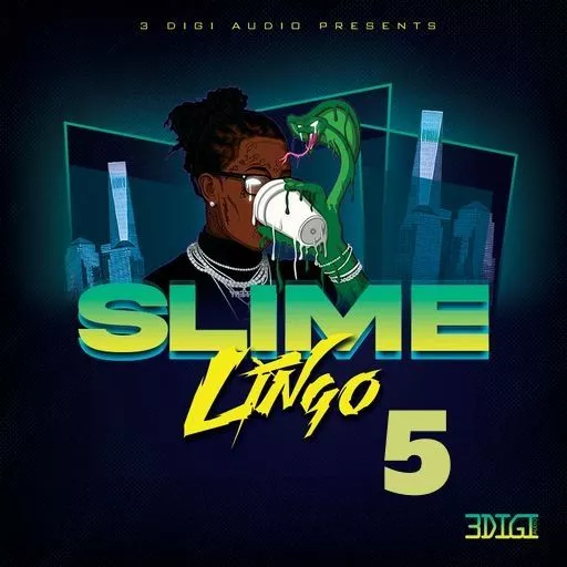 3Digi Audio Slime Lingo 5 WAV