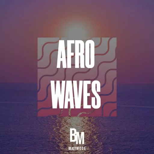 HOOKSHOW Afro Waves WAV