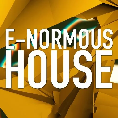 E-Normous House SamplePack WAV MIDI PRESETS