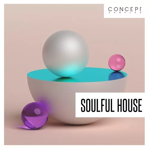 Concept Samples Soulful House WAV
