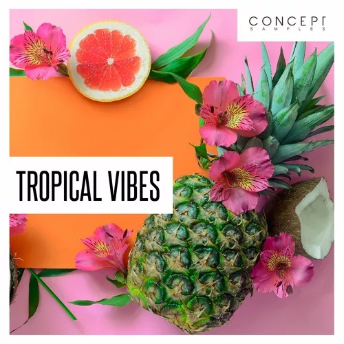Concept Samples Tropical Vibes WAV