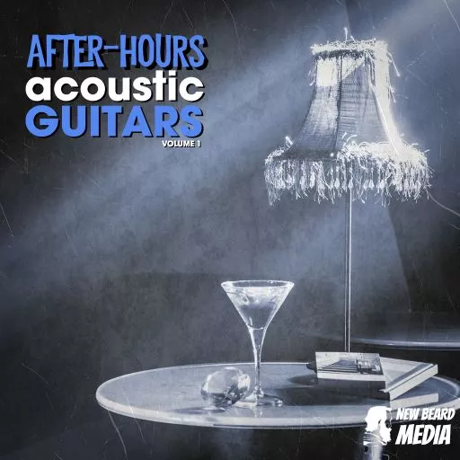 New Beard Media After Hours Acoustic Guitars Vol.1 WAV