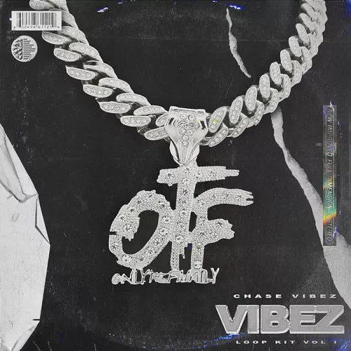 OTF Vibez Vol.1 (LoopKit) WAV