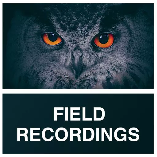 Whitenoise Records Field Recordings WAV