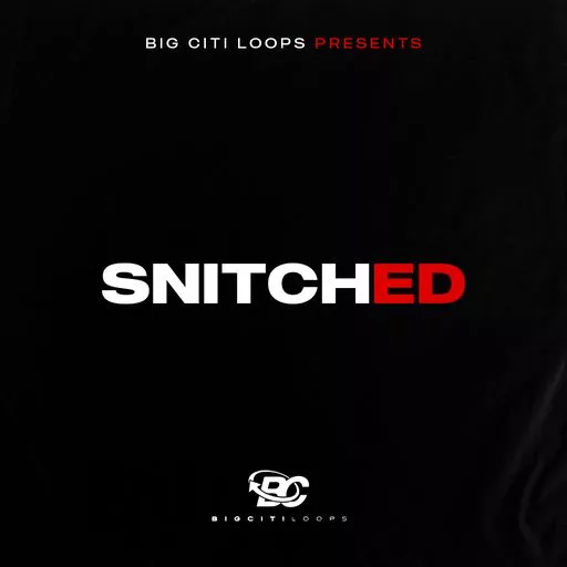 Big Citi Loops Snitched WAV