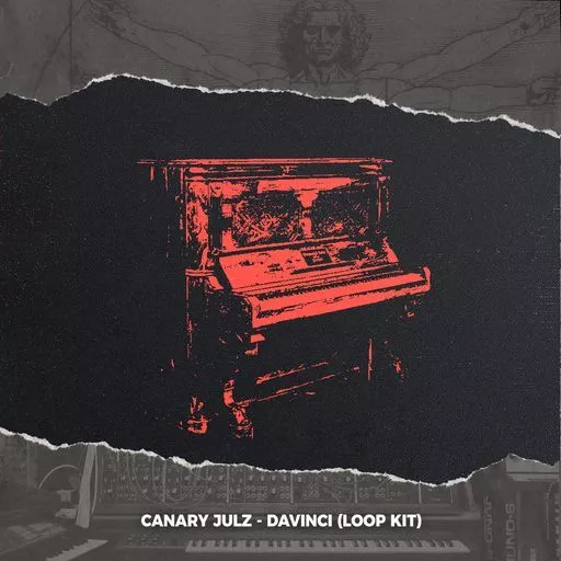 Canary Julz Davinci (Loop Kit) [WAV]