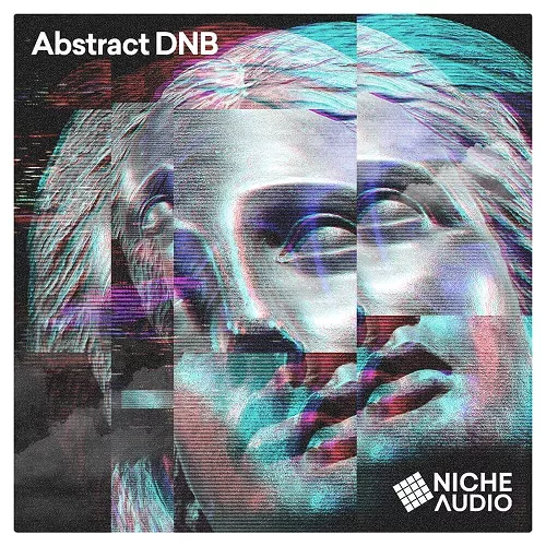 Niche Audio Abstract DnB Maschine