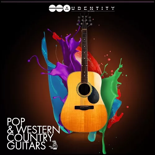 Audentity Records Pop & Western Country Guitars WAV