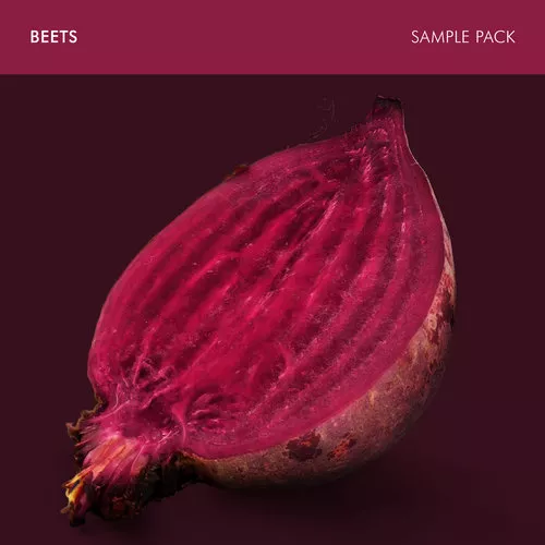 Andrew Huang Beets Sample Pack WAV