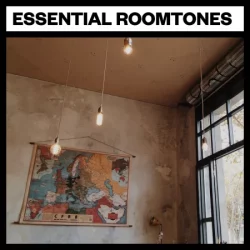 Big Room Sound Essential Roomtones WAV