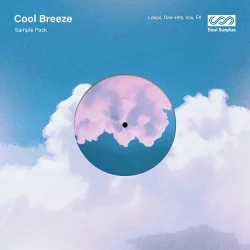 Cool Breeze Volume 1 (Sample Pack) WAV