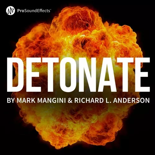 Pro Sound Effects : Detonate Stereo WAV