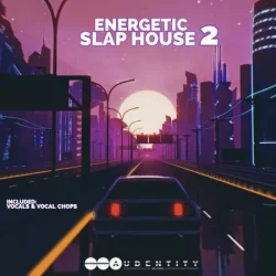 Energetic Slap House 2 Samplepack WAV MIDI FXP