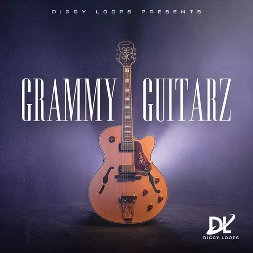 HOOKSHOW GRAMMY GUITARZ WAV