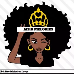 HOOKSHOW Afro Melodies Vol.1-3 WAV