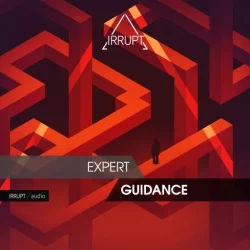 Irrupt Expert Guidance WAV