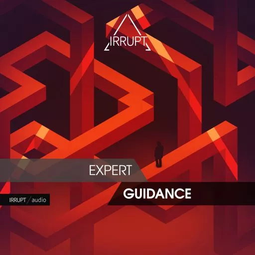 Irrupt Expert Guidance WAV