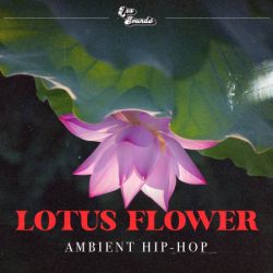 LEX Sounds Lotus Flower Ambient Hip Hop WAV