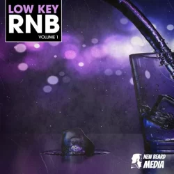 New Beard Media Low Key RnB Vol.1 WAV