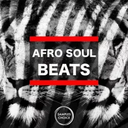 Samples Choice Afro Soul Beats WAV
