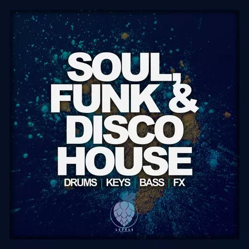 Dirty Music Soul, Funk & Disco House WAV