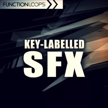 Function Loops Key Labelled SFX WAV