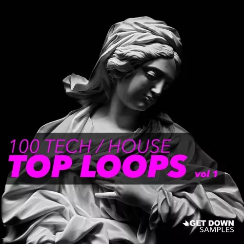 Get Down Samples 100 Tech House Top Loops Vol.1 WAV