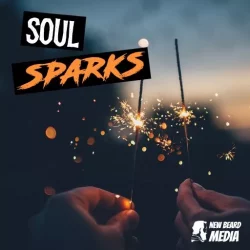 New Beard Media Soul Sparks Vol.1 WAV