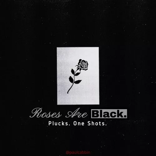 Paul Cabbin Roses Are Black (Sample Pack) WAV