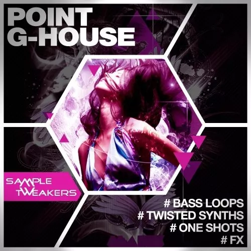 Sample Tweakers Point G House [WAV MIDI FXP NMSV]