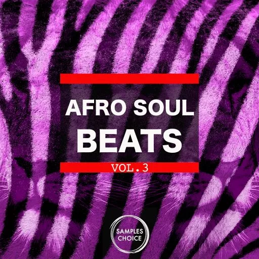 Samples Choice Afro Soul Beats Vol.3 WAV
