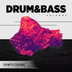 Samplesound Drum & Bass Vol.2 [WAV MIDI]