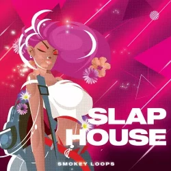 Smokey Loops Slap House WAV