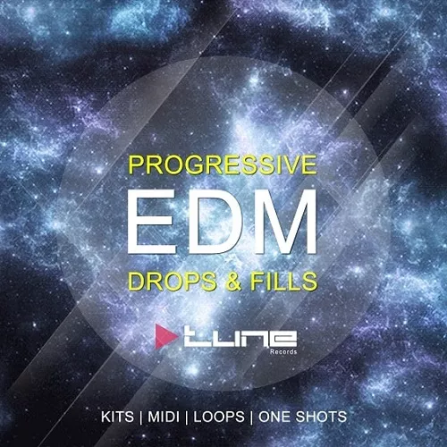 Progressive EDM Drops & Fills